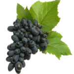 fresh-black-grapes-500x500-1