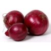 fresh-red-onions-500x500-1-100x100